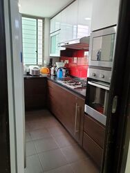 Amaryllis Ville (D11), Condominium #596154541
